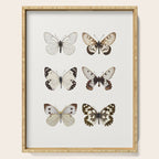 Butterflies in Neutral Colors Serving Tray Gallery Image 1