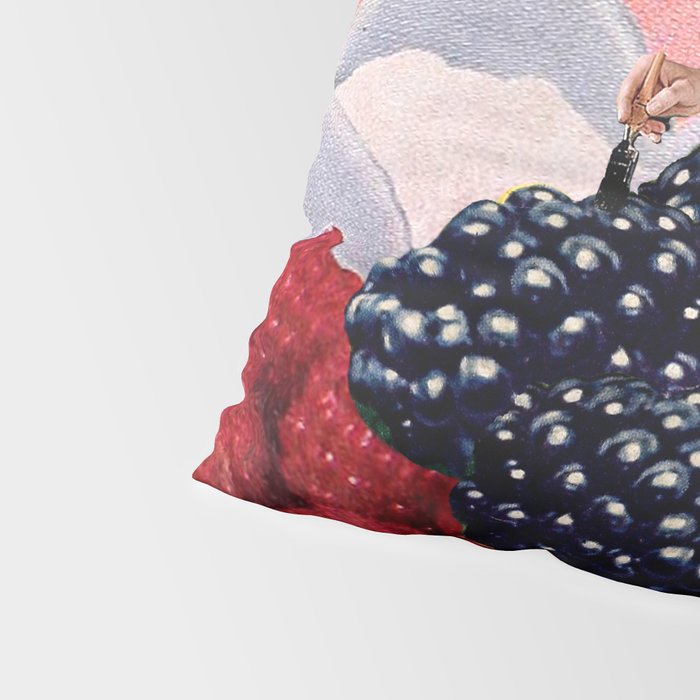 Berry-gate Pillow Sham Gallery Image 4