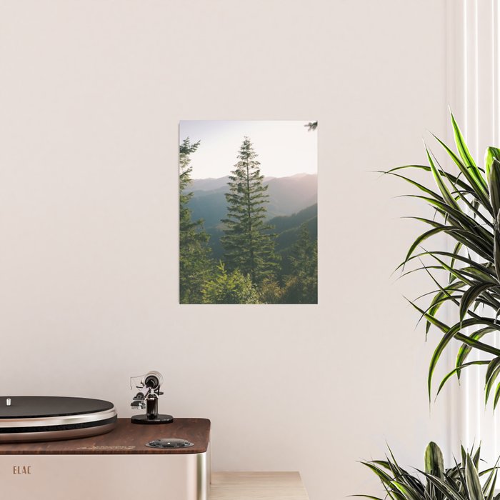 Forest IV Poster Gallery Image 2