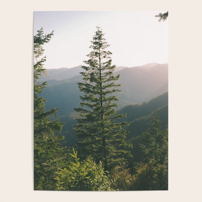 Forest IV Poster Gallery Image 1