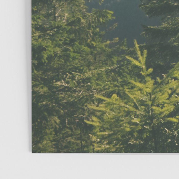 Forest IV Poster Gallery Image 3