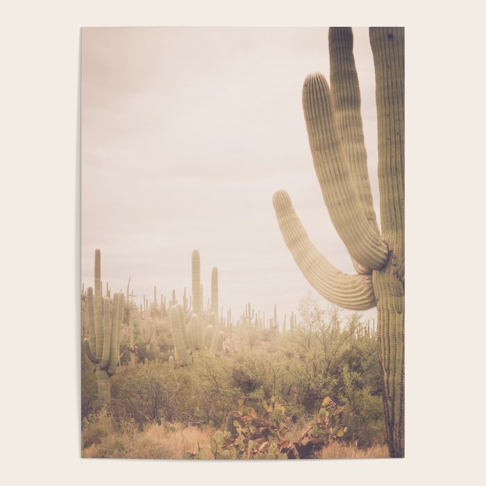 Saguaro Sunrise Poster Gallery Image 4