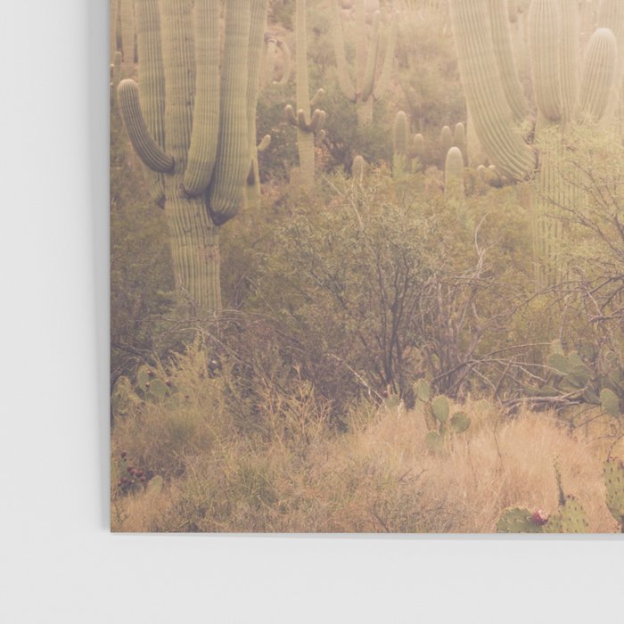 Saguaro Sunrise Poster Gallery Image 3