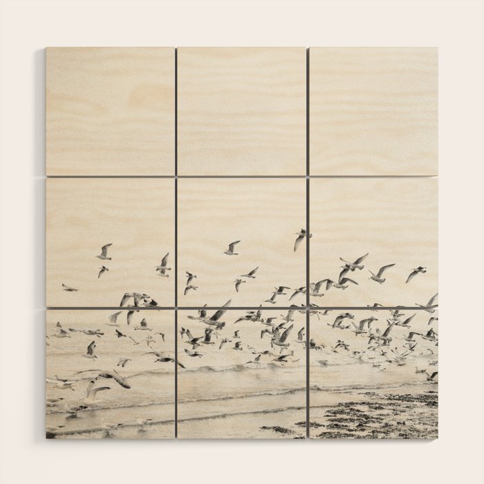 "Seagulls" | Coastal black and white photo | Film photography | Beach - square Wood Wall Art Gallery Image 1