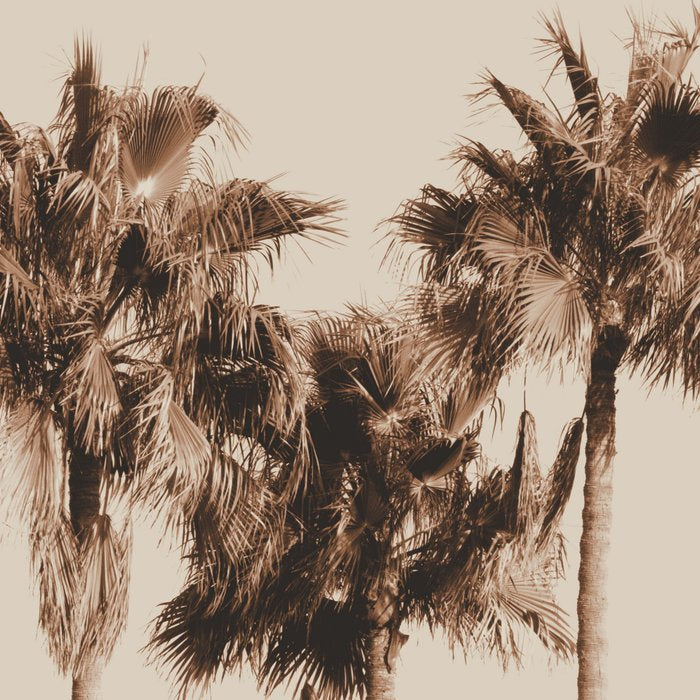 Palm Trees Earthy Vibes #1 #wall #decor #art #society6 Coffee Mug Gallery Image 2