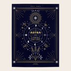 Ad Astra Per Aspera Poster Gallery Image 4