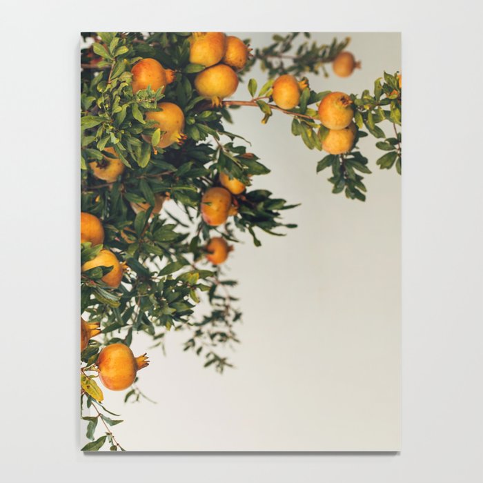 Pomegranates Notebook Gallery Image 4