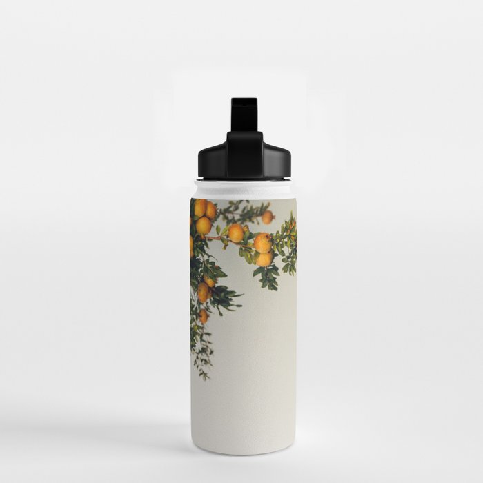 Pomegranates Water Bottle Gallery Image 2