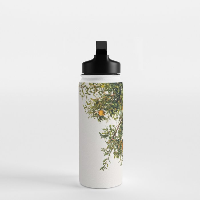 Pomegranates Water Bottle Gallery Image 3