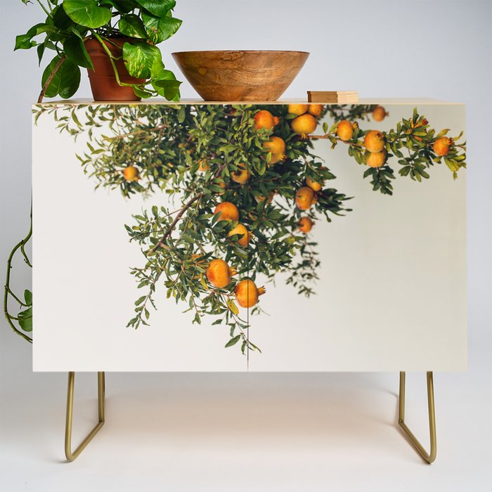 Pomegranates Credenza Gallery Image 1