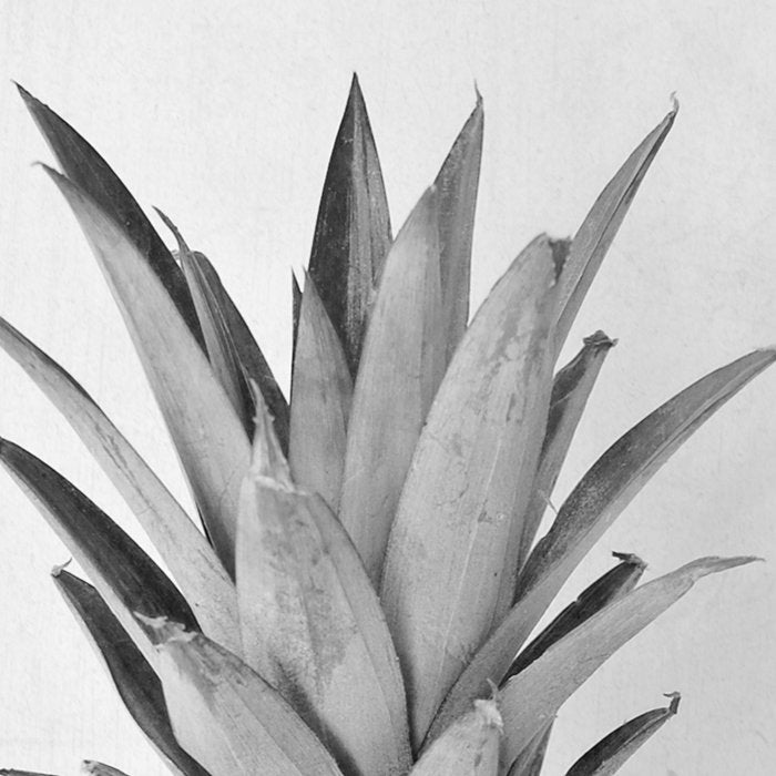 Pineapple II Coffee Mug Gallery Image 2