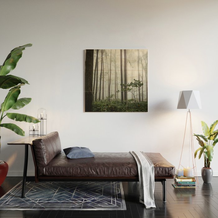 Great Smoky Mountains National Park - Forest Fog Adventure Wood Wall Art Gallery Image 2