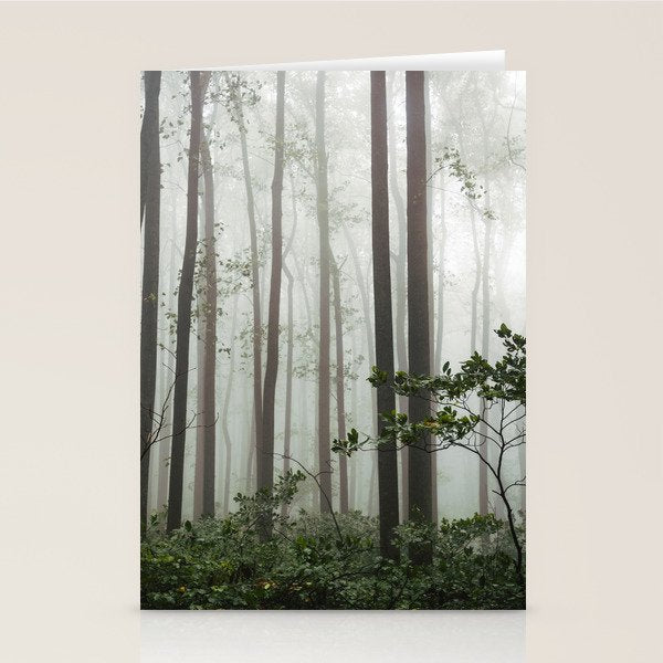 Great Smoky Mountains National Park - Forest Fog Adventure Stationery Card Gallery Image 2