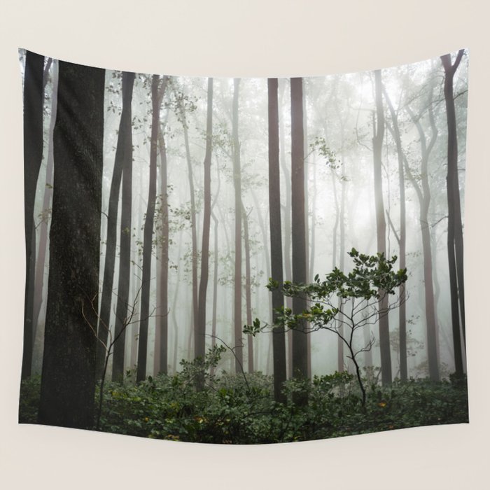Great Smoky Mountains National Park - Forest Fog Adventure Wall Tapestry Gallery Image 4