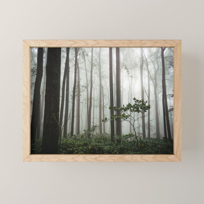 Great Smoky Mountains National Park - Forest Fog Adventure Mini Art Print Gallery Image 1