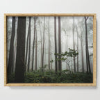 Great Smoky Mountains National Park - Forest Fog Adventure Serving Tray Gallery Image 1