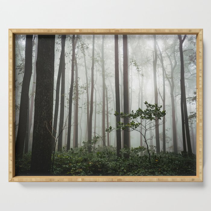 Great Smoky Mountains National Park - Forest Fog Adventure Serving Tray Gallery Image 1