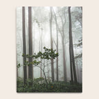 Great Smoky Mountains National Park - Forest Fog Adventure Notebook Gallery Image 4