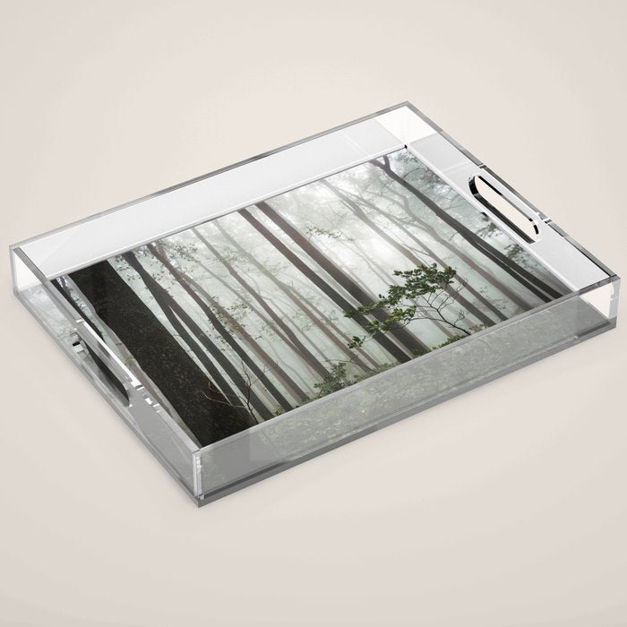 Great Smoky Mountains National Park - Forest Fog Adventure Acrylic Tray Gallery Image 1