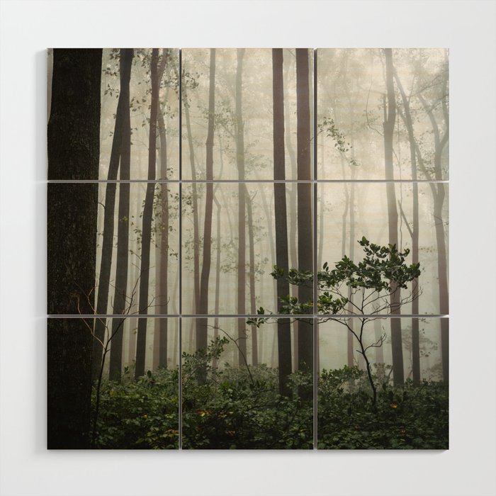 Great Smoky Mountains National Park - Forest Fog Adventure Wood Wall Art Gallery Image 1