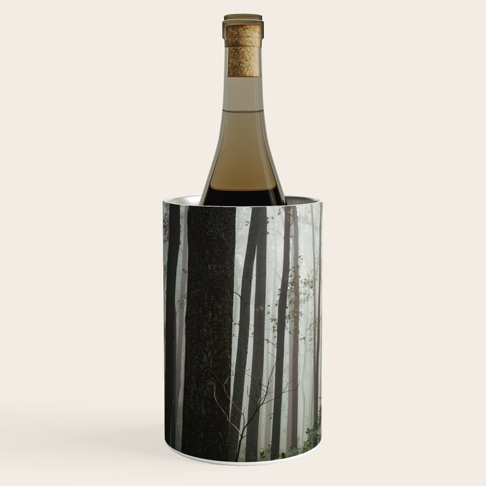 Great Smoky Mountains National Park - Forest Fog Adventure Wine Chiller Gallery Image 2