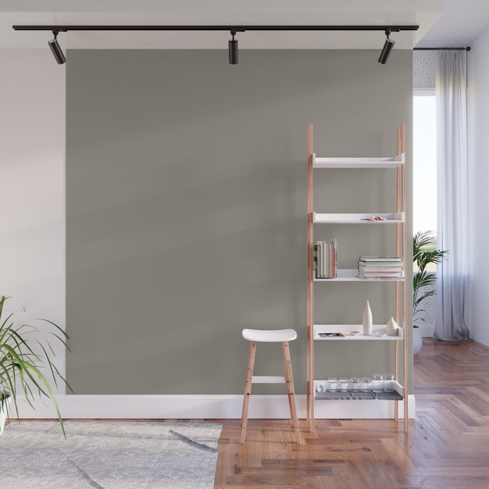 Retro Taupe Mushroom Gray Solid Wall Mural Gallery Image 1