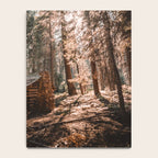 Log Cabin in the Forest Notebook Gallery Image 4