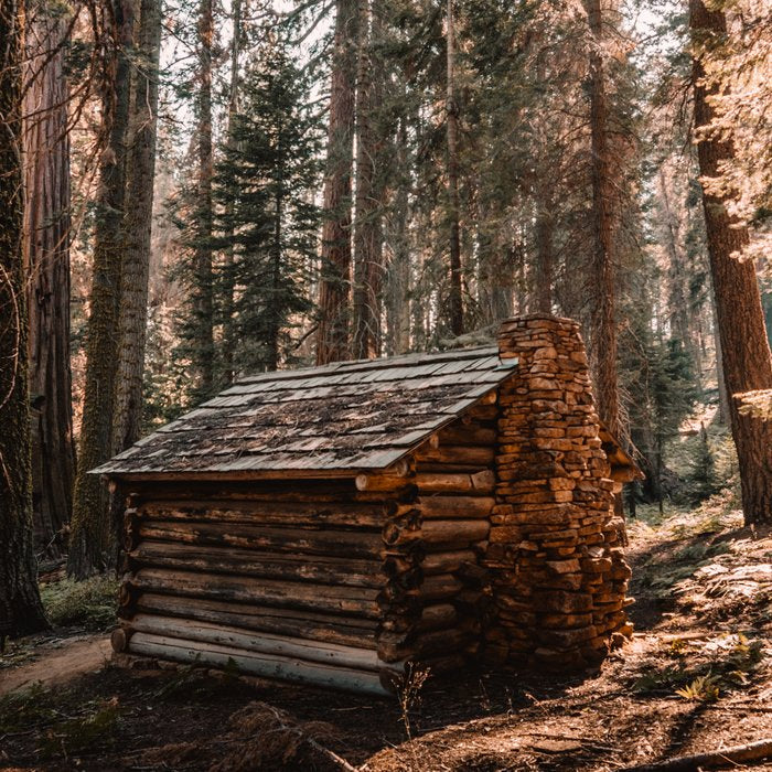 Log Cabin in the Forest Coffee Mug Gallery Image 2