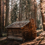 Log Cabin in the Forest Coffee Mug Gallery Image 2