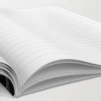 Golden Star Map Notebook Gallery Image 2