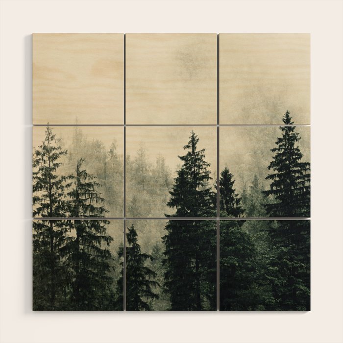 Thick pine forest in the descending mist Wood Wall Art Gallery Image 1