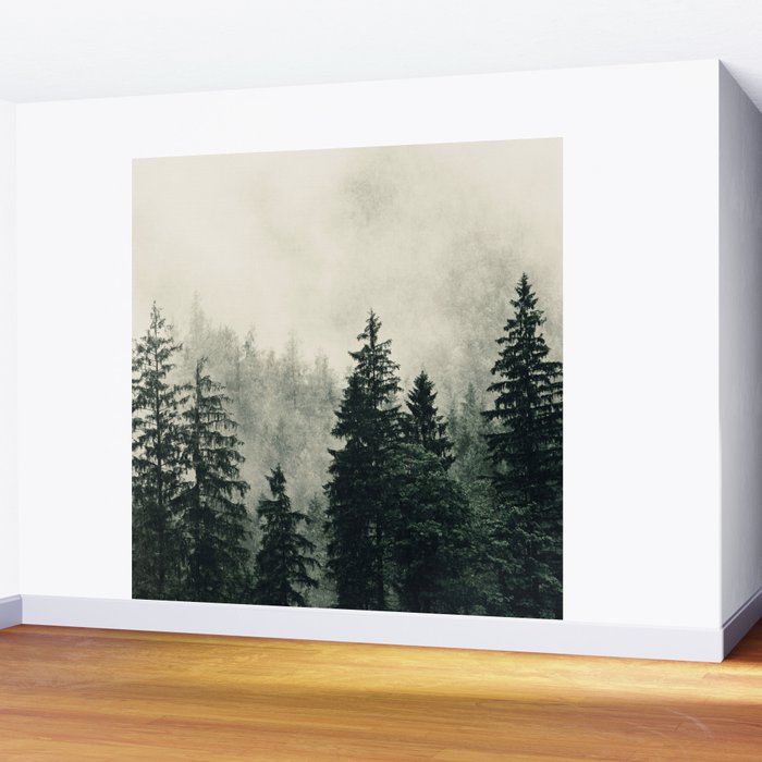 Thick pine forest in the descending mist Wall Mural Gallery Image 2