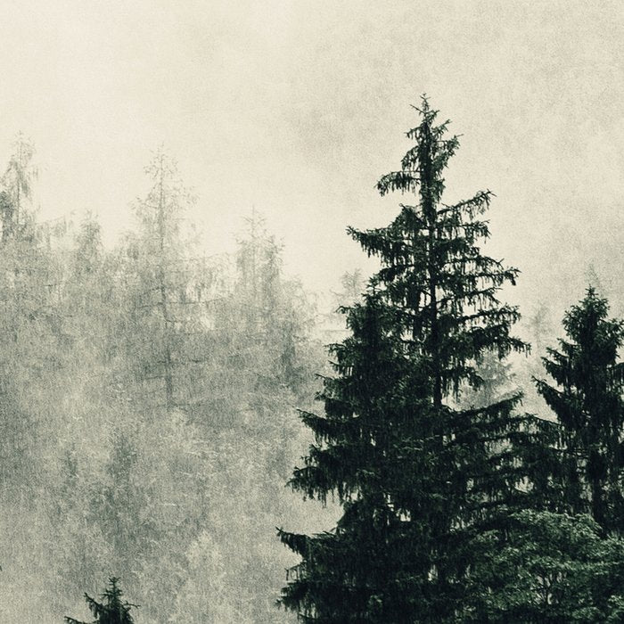 Thick pine forest in the descending mist Coffee Mug Gallery Image 2