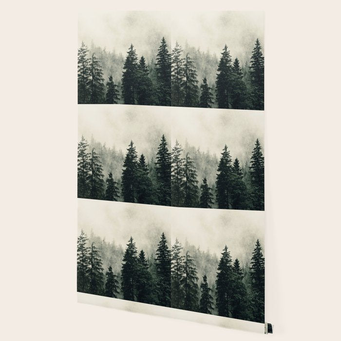 Thick pine forest in the descending mist Wallpaper Gallery Image 2
