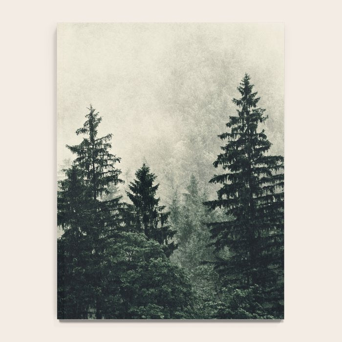 Thick pine forest in the descending mist Notebook Gallery Image 4
