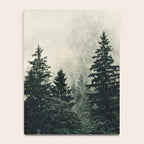 Thick pine forest in the descending mist Notebook Gallery Image 4