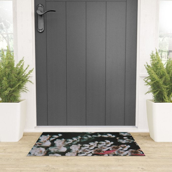 Is it a dream? Welcome Mat Gallery Image 3
