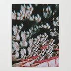 Is it a dream? Poster Gallery Image 4
