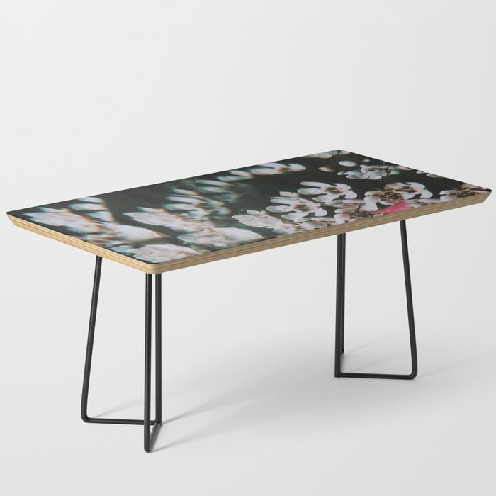Is it a dream? Coffee Table Gallery Image 1