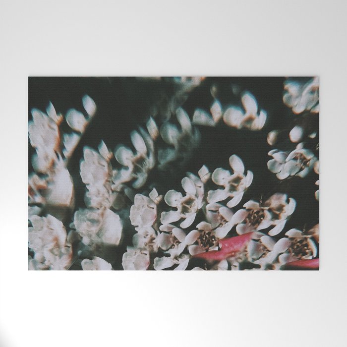 Is it a dream? Welcome Mat Gallery Image 1