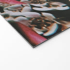 Is it a dream? Welcome Mat Gallery Image 2