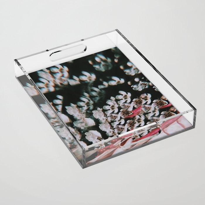 Is it a dream? Acrylic Tray Gallery Image 1