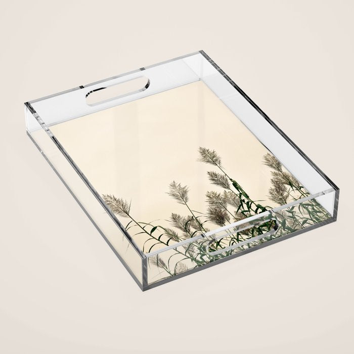 Savoir Faire Acrylic Tray Gallery Image 1