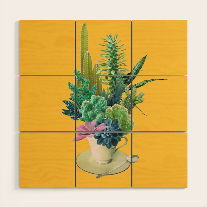 Arid garden Wood Wall Art Gallery Image 1