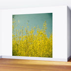 Summer Wall Mural Gallery Image 2