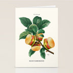 BURGER PLANT Stationery Card Gallery Image 2