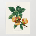 BURGER PLANT Poster Gallery Image 4