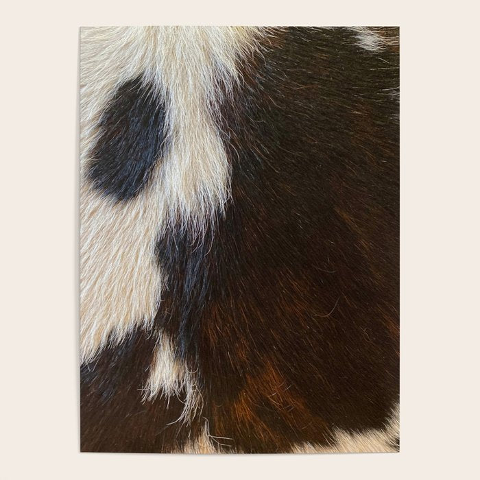 Cowhide Farmhouse Decor  Poster Gallery Image 1