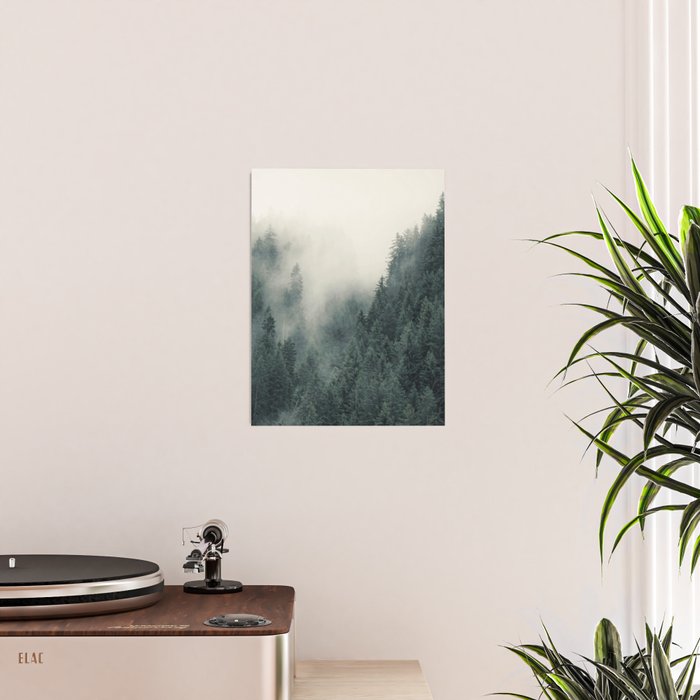 Misty Pines 2 Poster Gallery Image 2