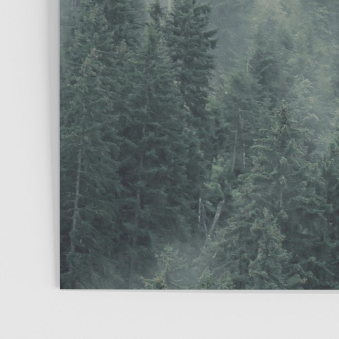 Misty Pines 2 Poster Gallery Image 3